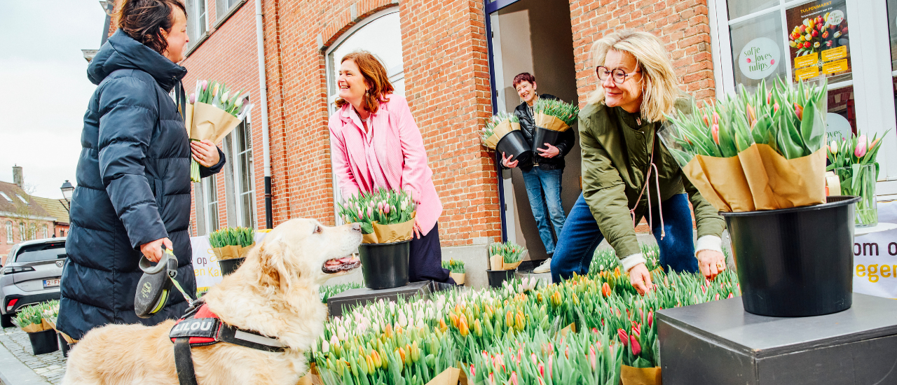 Tulpenverkoop t.v.v. Kom op tegen Kanker