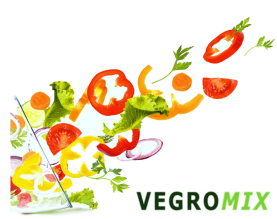 logo Vegromix