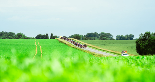 Het internationale peloton van de 1000 km