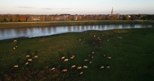 Middagstad Maaseik